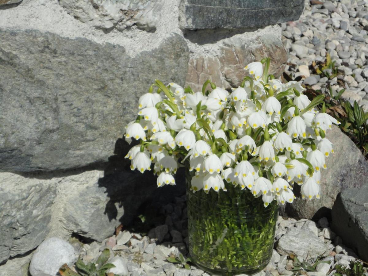 Villa Schießling Hof Oberndorf in Tirol Exterior foto